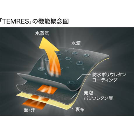 SHOWA ショーワ / TEMRES 04advance テムレス
