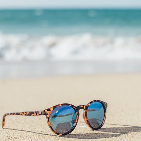 SUNSKI サンスキー ／ Dipsea Tortoise Aqua