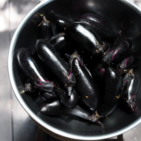 The Small Twist スモールツイスト ／THE BAG - Mapo Eggplant 麻婆茄子&生姜ご飯