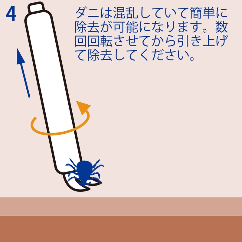 オーベックス ／ エレクティック | 旅道具と人 HouHou〈ホウホウ〉