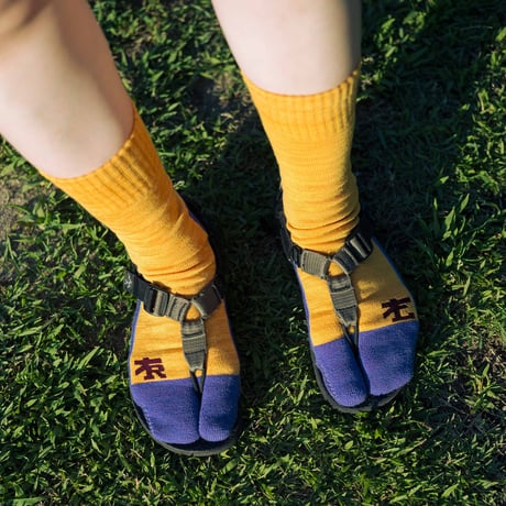 RAL ラル ／ Tabby Socks 2025