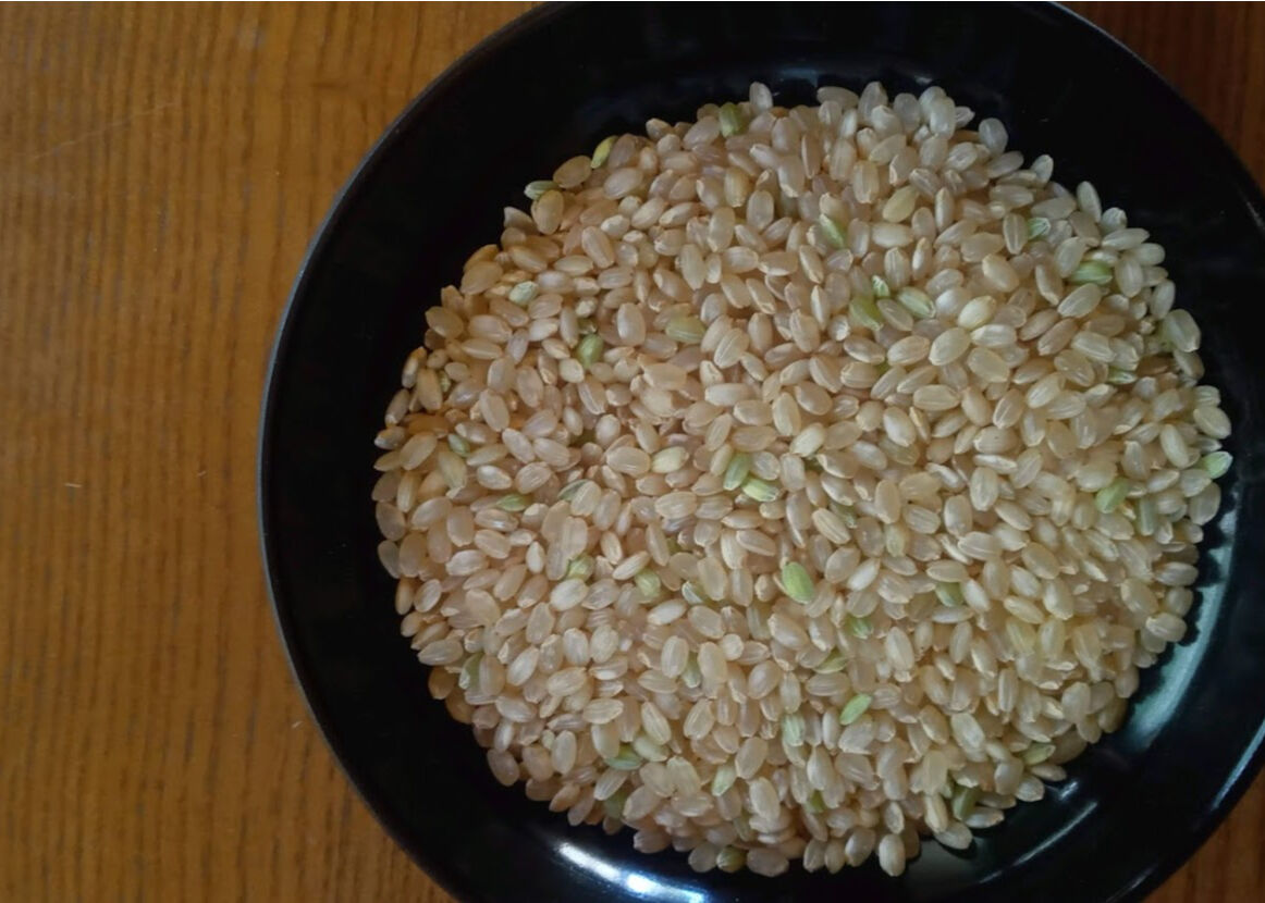 ハッピーヒル 2025年産【はざかけ天日干し/無肥料・無農薬】(玄米