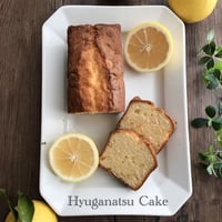 日向夏パウンドケーキ