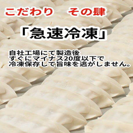 ＜東京餃子楼冷凍餃子＞にんにく入り＆ニラ・にんにく無し 各36個入り計72個入り。送料無料！※北海道・沖縄・離島へのご注文はお受けできません。
