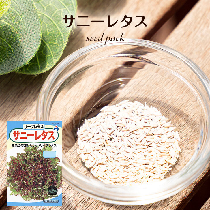 フラワー・リース sunny lettuce original