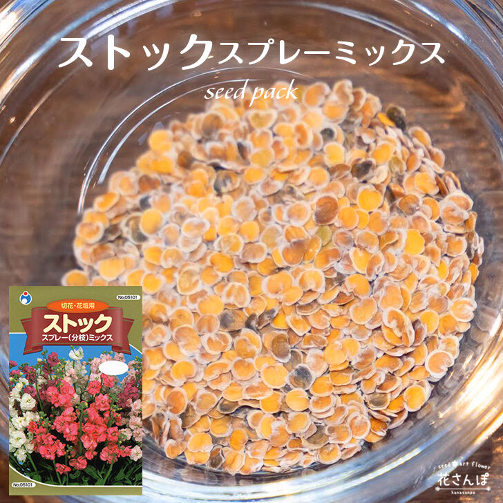 ストックスプレーミックス / 【05101】 | 花さんぽ｜種子をはじめ園芸