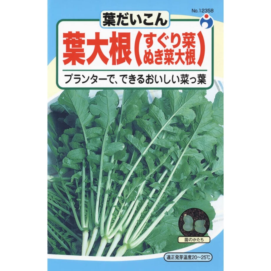 643e51a0e8c4f800291eabf9