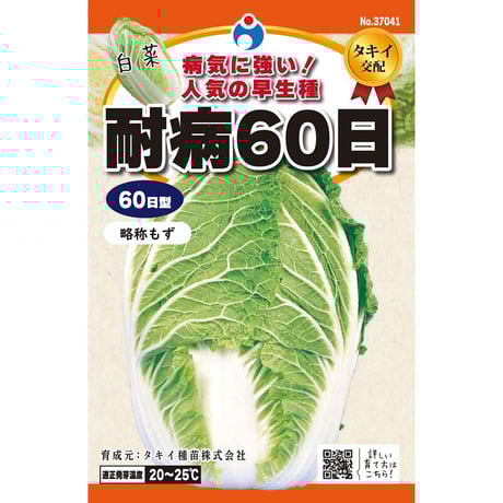耐病６０日白菜　/　【37041】
