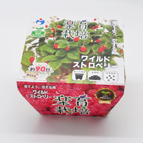 ワイルドストロベリー | STORES