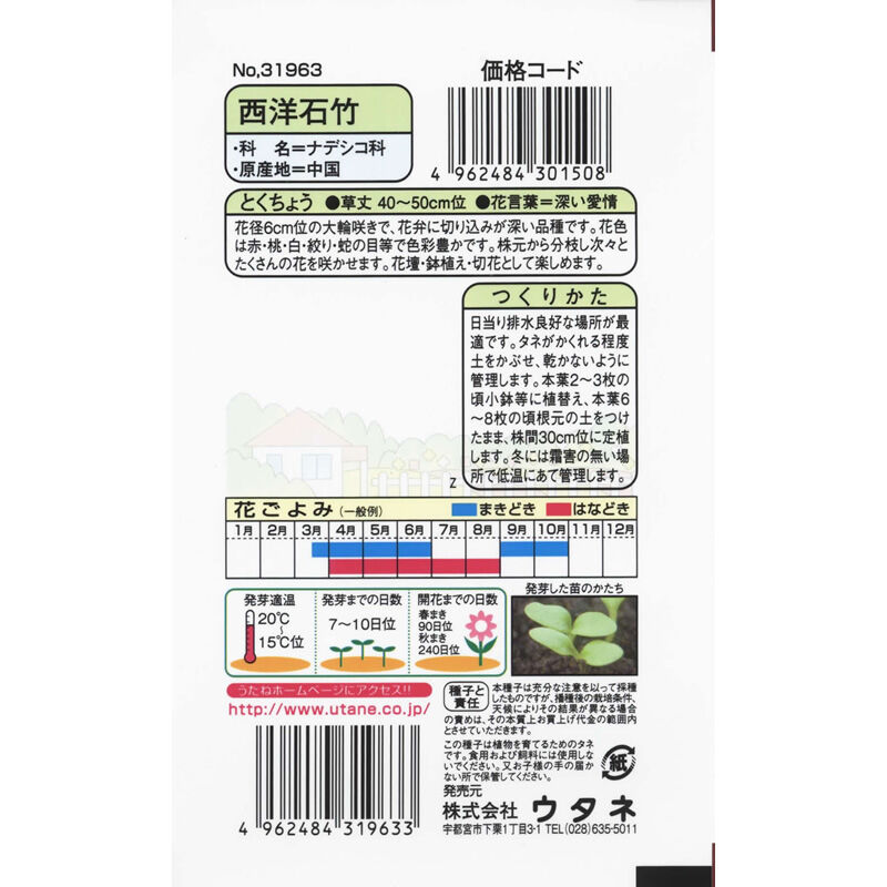 ミックスまき　 西洋石竹混合 / 【31963】 | 花さんぽ｜種子をはじめ園芸用品を