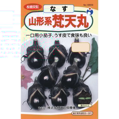 梵天丸茄子（なす）　/　【18609】