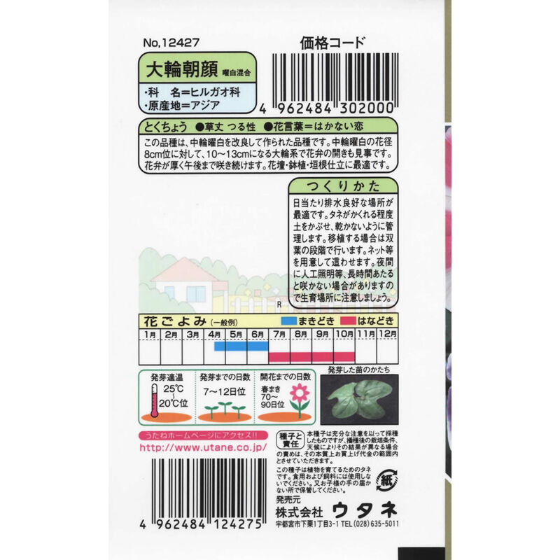 大輪朝顔曜白混合 / 【12427】 | 花さんぽ|種子をはじめ園芸 大輪朝顔曜白混合 / 【12427】 | 花さんぽ|種子をはじめ園芸