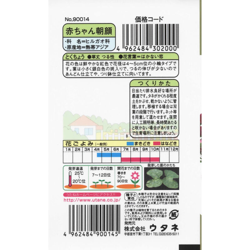 赤ちゃん朝顔 / 【90014】 | 花さんぽ|種子をはじめ園芸用品を 赤ちゃん朝顔 / 【90014】 | 花さんぽ|種子をはじめ園芸用品を