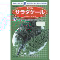 サラダケールカリーノケール　/　【60185】