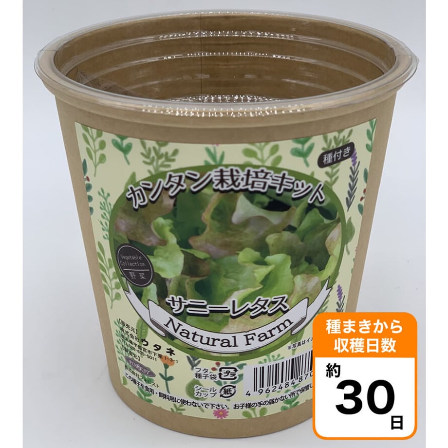 63fd4c40db33f60eb5e649be