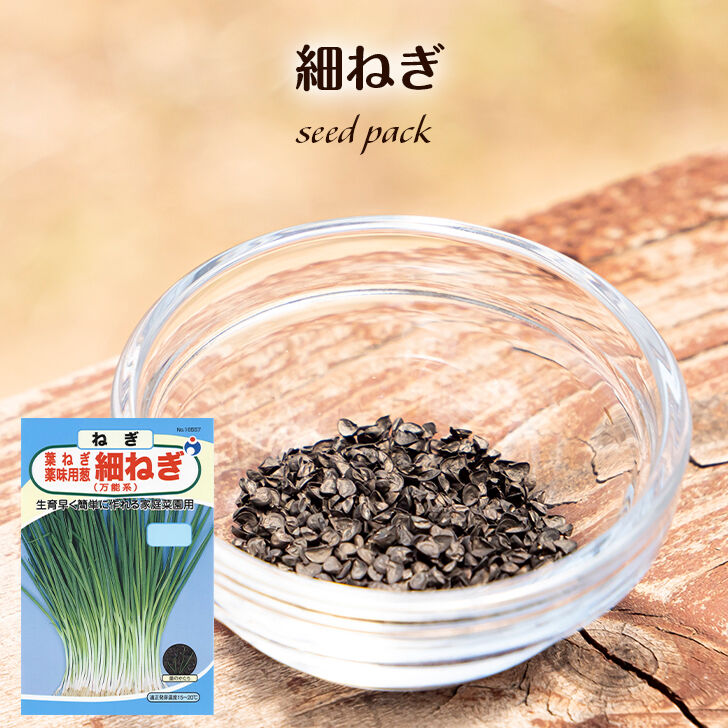 細ねぎ / 【16557】 | 花さんぽ｜種子をはじめ園芸用品を取り扱う