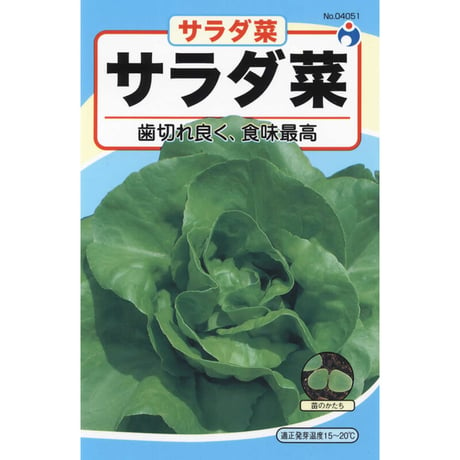 サラダ菜　/　【04051】