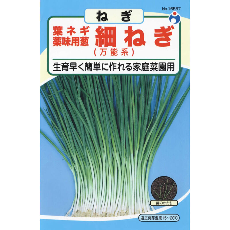 細ねぎ / 【16557】 | 花さんぽ｜種子をはじめ園芸用品を取り扱う