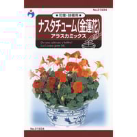 早生枝豆白鳥 / 【38282】 | 花さんぽ｜種子をはじめ園芸用品を