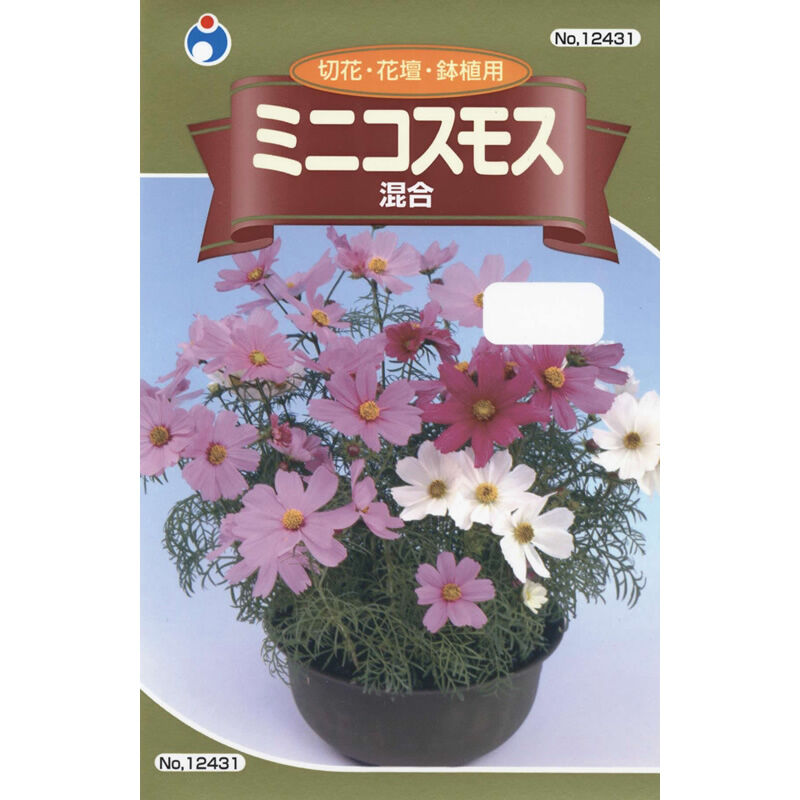 ミニコスモス混合 / 【12431】 | 花さんぽ｜種子をはじめ園芸用品を