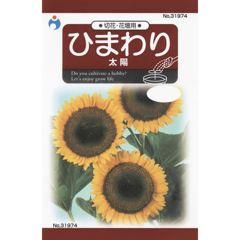 ひまわり太陽 / 【31974】 | 花さんぽ｜種子をはじめ園芸用品を