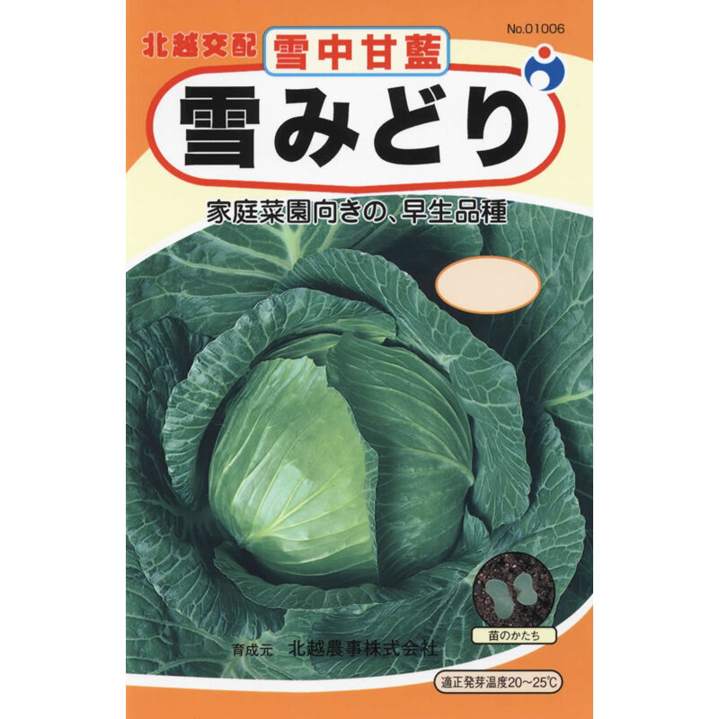 雪みどり甘藍（キャベツ） / 【01006】 | 花さんぽ｜種子をはじめ園芸