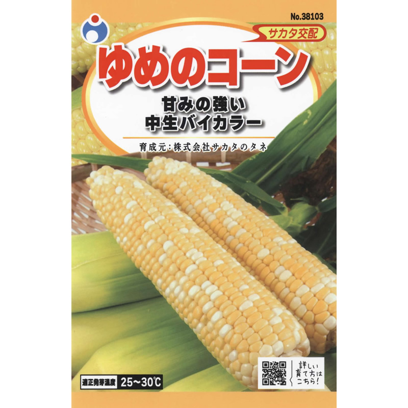 ゆめのコーン / 【38103】 | 花さんぽ｜種子をはじめ園芸用品を