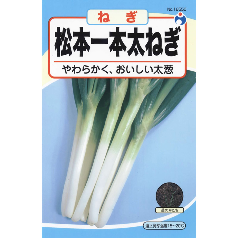 ねぎ 松本一本太葱（ねぎ） / 【16550】 | 花さんぽ｜種子をはじめ園芸用品