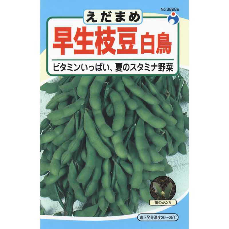 早生枝豆白鳥 / 【38282】 | 花さんぽ｜種子をはじめ園芸用品を