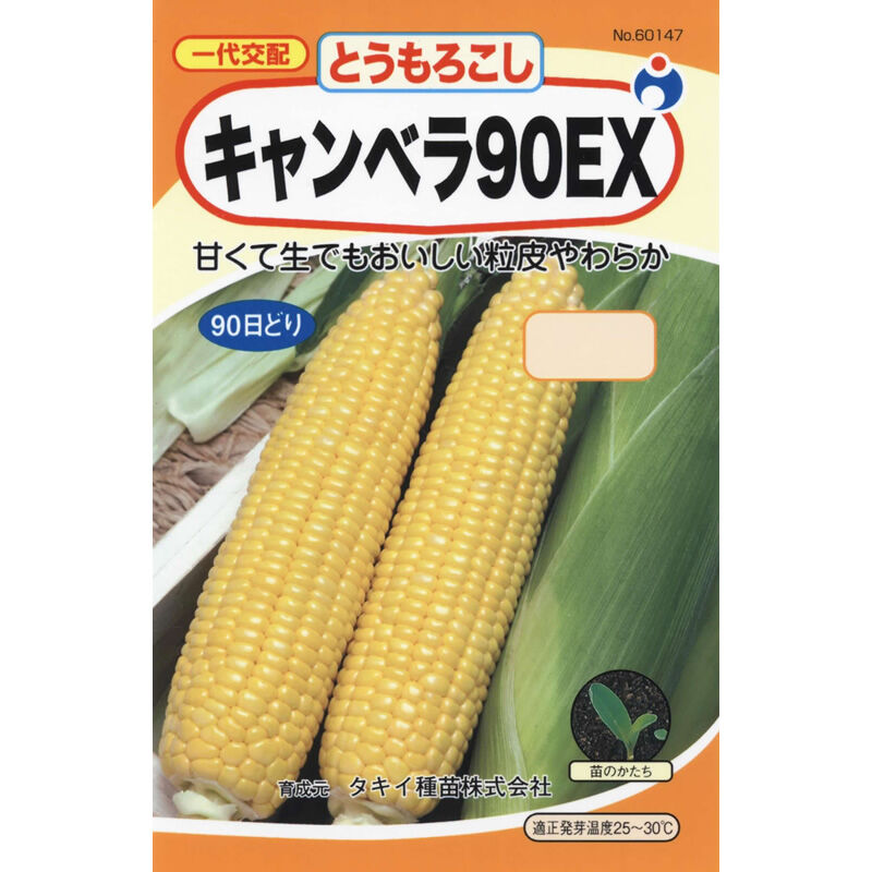 キャンベラ90EX（コーン） / 【60147】 | 花さんぽ｜種子をはじめ園芸