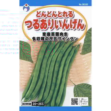 どんどんとれるつるありいんげん　/　【38163】