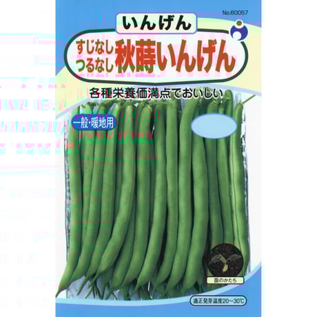 すじなしつるなし秋蒔いんげん　/　【60057】