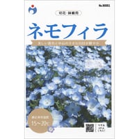 ネモフィラ　/　【90051】