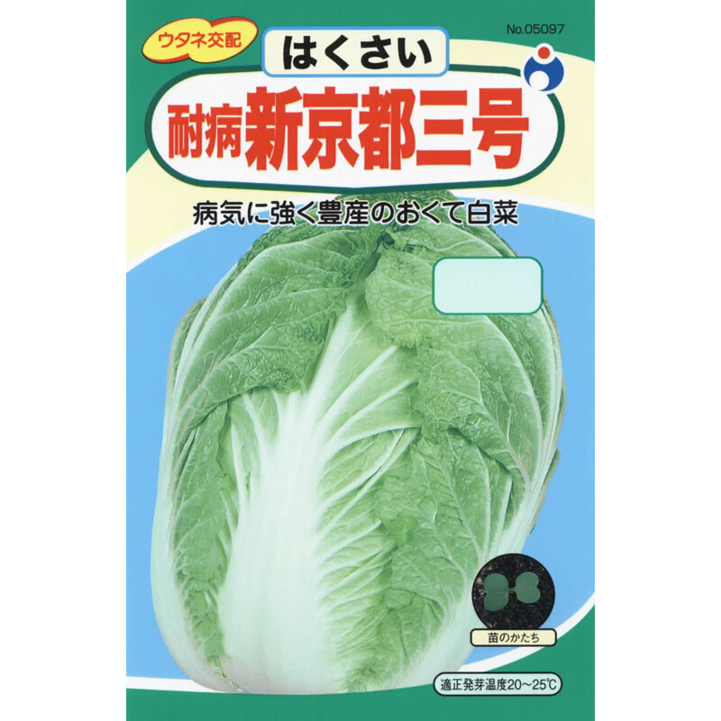 耐病新京都三号白菜 / 【05097】 | 花さんぽ｜種子をはじめ園芸用品を