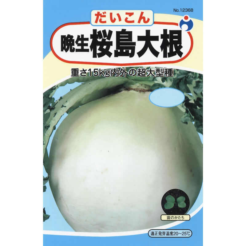 晩生桜島大根（だいこん） / 【12368】 | 花さんぽ｜種子をはじめ園芸