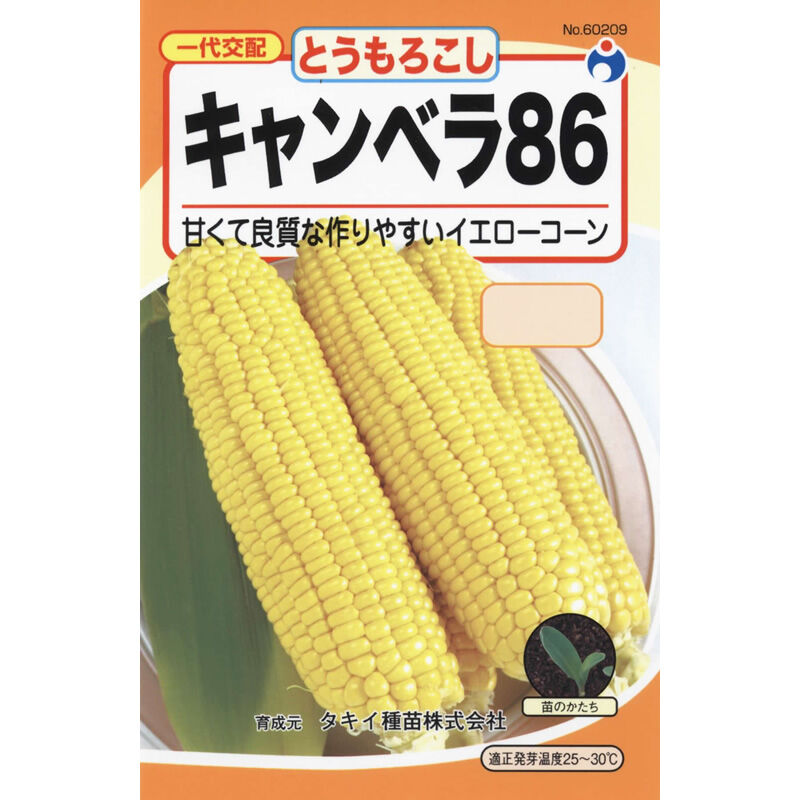 キャンベラ86（コーン） / 【60209】 | 花さんぽ｜種子をはじめ園芸
