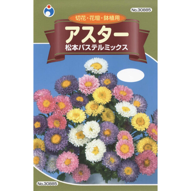 アスター松本パステルミックス / 【30885】 | 花さんぽ｜種子をはじめ