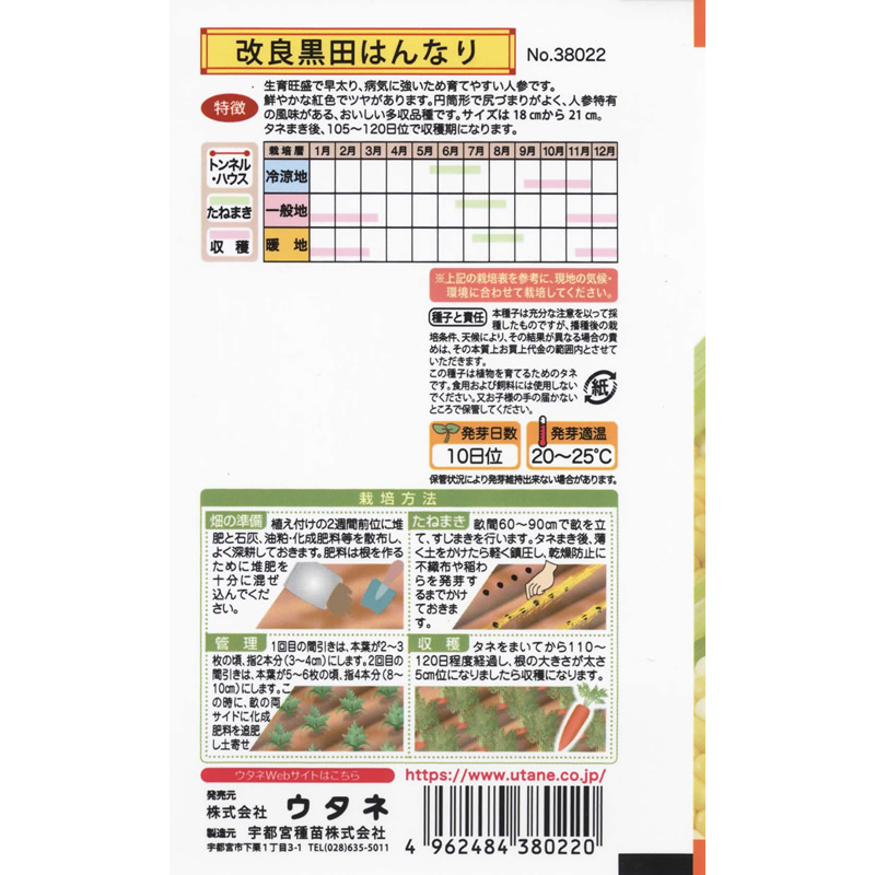 改良黒田五寸人参はんなり（ごすんにんじん） / 【38022】 | 花さんぽ