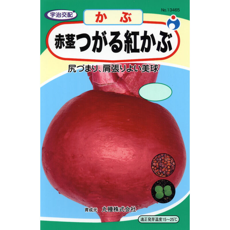 つがる紅かぶ / 【13465】 | 花さんぽ｜種子をはじめ園芸用品を