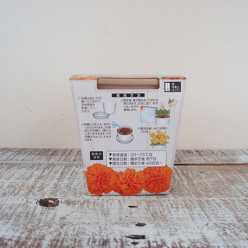 マリーゴールド出品 花の栽培キット マリーゴールド 【87064】 | 花さんぽ｜種子を