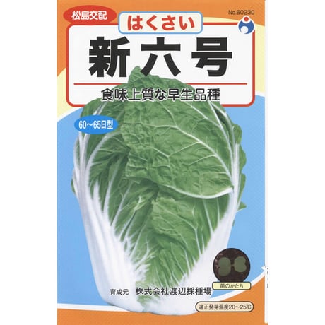 新六号白菜　/　【60230】