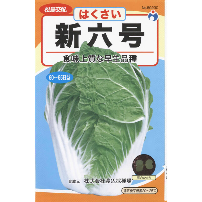 新六号白菜 / 【60230】 | 花さんぽ｜種子をはじめ園芸用品を取り扱う