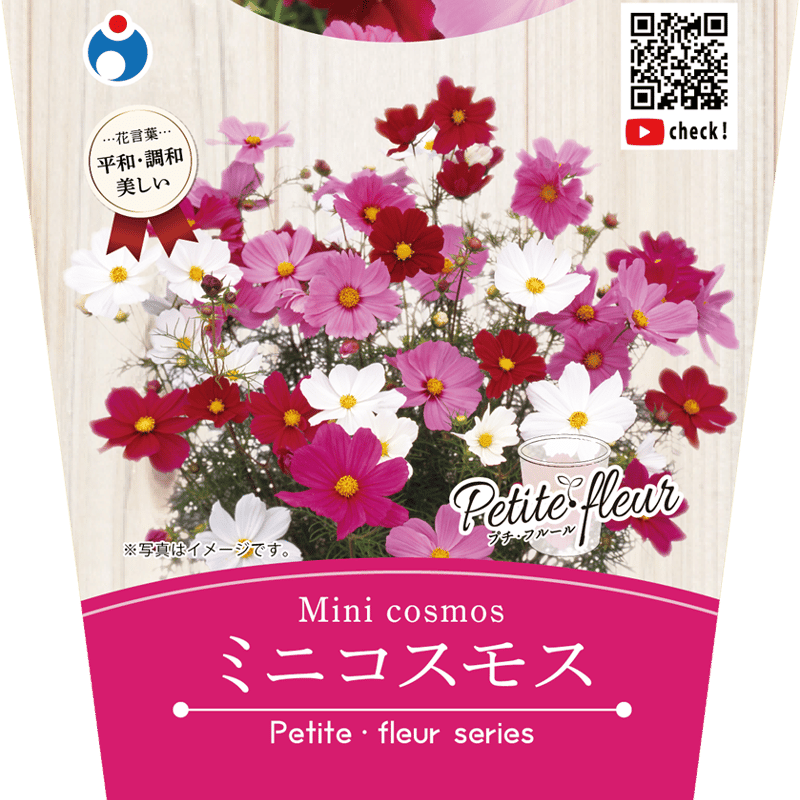 花の栽培キット ミニコスモス 【87068】 | 花さんぽ｜種子をはじめ園芸