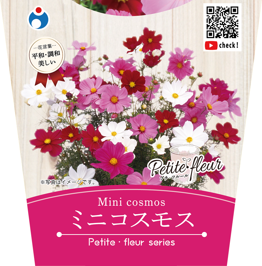 コスモス様ミニチュア 完成しました✾ #秋桜 #コスモス #花束 #ミニチュアフラワー