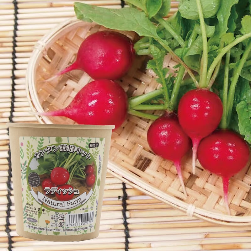 カンタン栽培キット ラディッシュ 【87076】 | 花さんぽ｜種子を