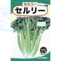 三つ葉 / 【10245】 | 花さんぽ｜種子をはじめ園芸用品を