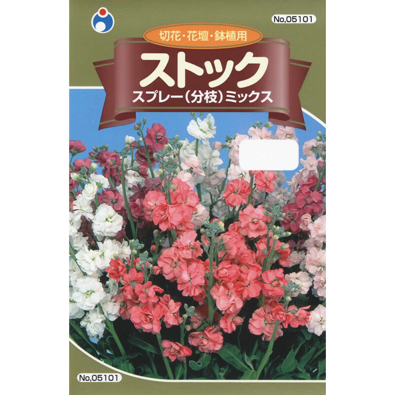 ストックスプレーミックス / 【05101】 | 花さんぽ｜種子をはじめ園芸