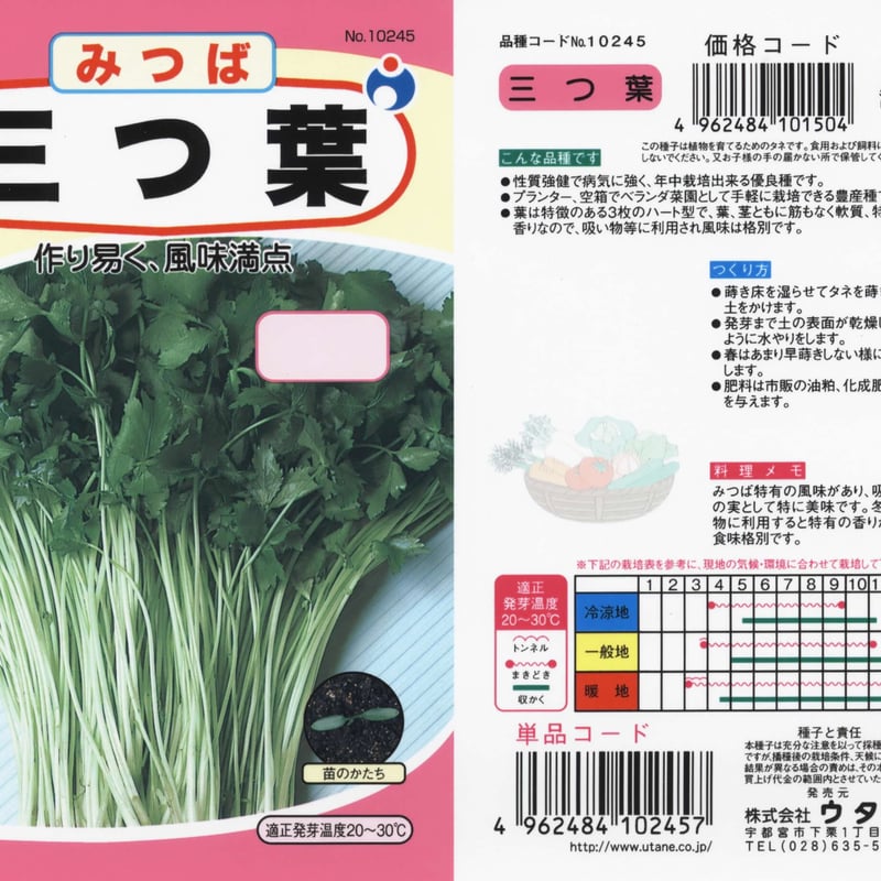 三つ葉 / 【10245】 | 花さんぽ｜種子をはじめ園芸用品を