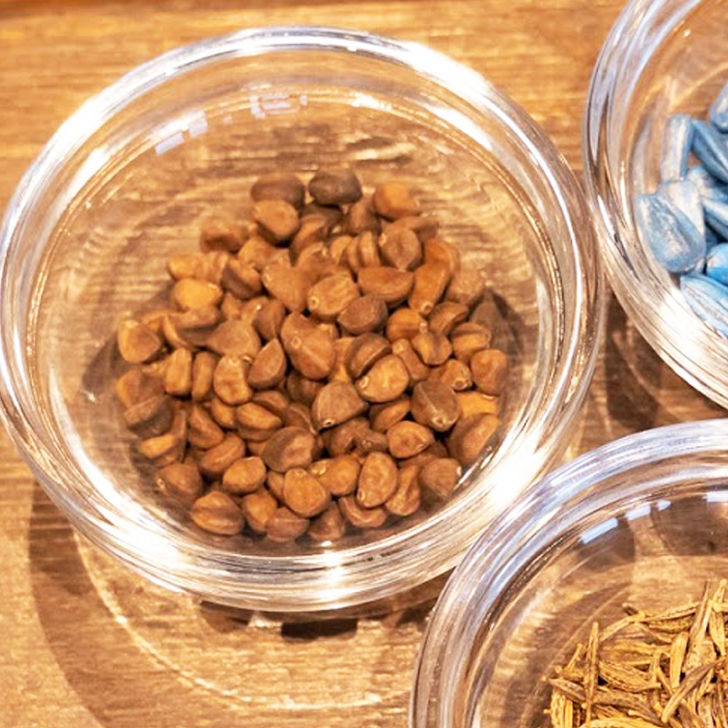 あさがお様ご確認ページ rh13_01_05_01_re.jpg