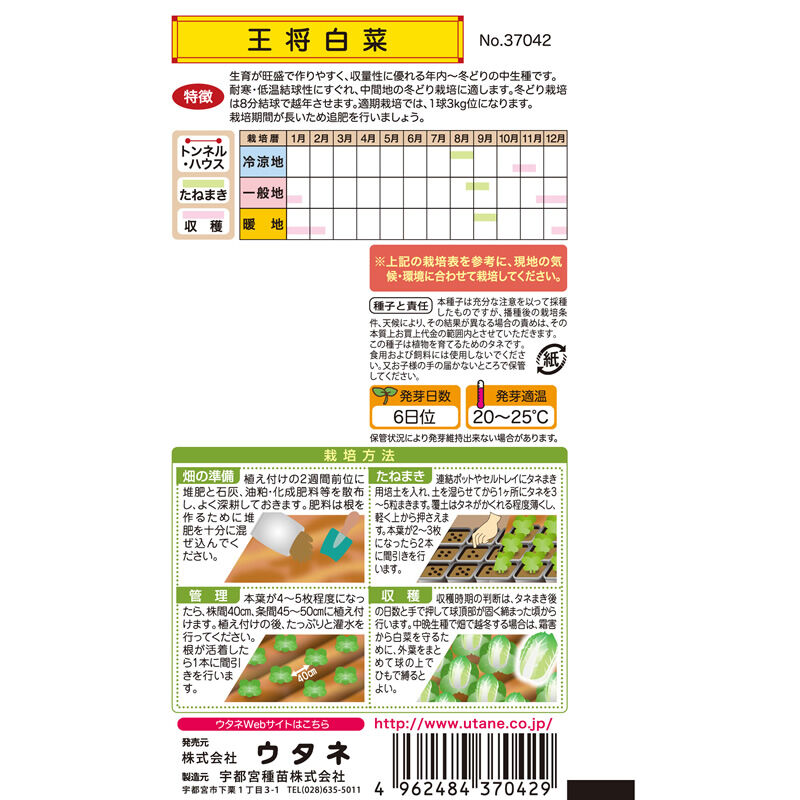 王将白菜 / 【37042】 | 花さんぽ｜種子をはじめ園芸用品を取り扱う